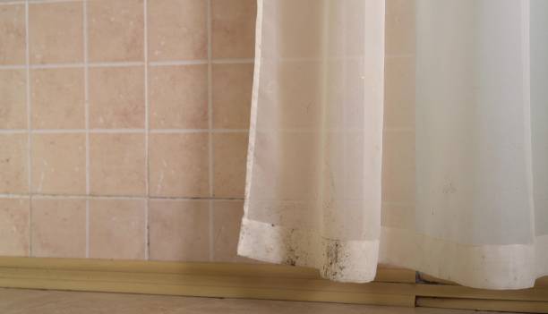 Best Air Quality Testing for Mold Spores  in East Mountain, TX