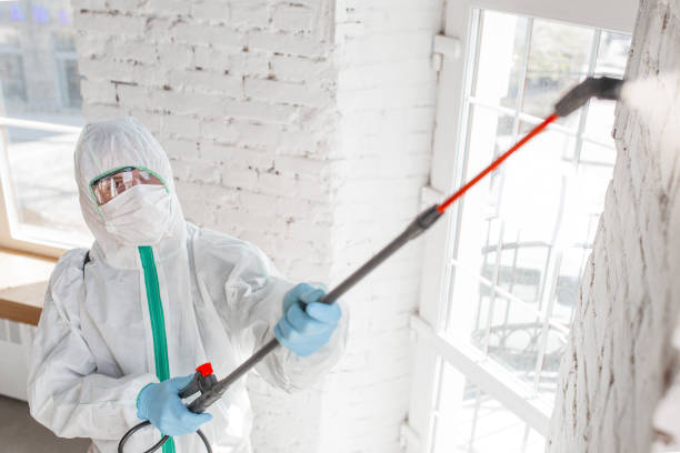 Best Mold-Related Health Consultation  in East Mountain, TX