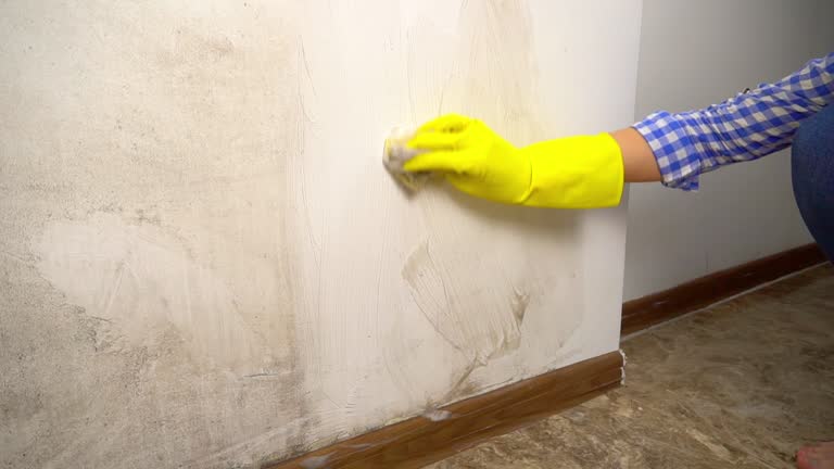 Best Mold Prevention Services  in East Mountain, TX