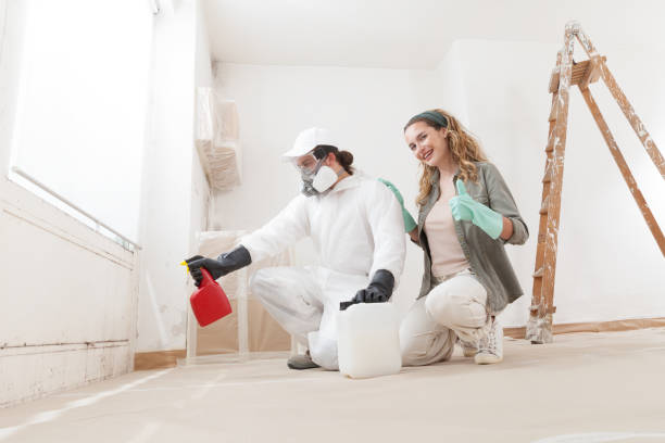 Best Mold Removal for HVAC Installations  in East Mountain, TX